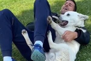 HIT SNIMAK! Đoković objavio video na kojem se igra sa psom, a njegov komentar NASMEJAĆE VAS DO SUZA! (VIDEO)